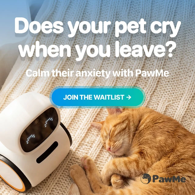 Pawme emotional ad